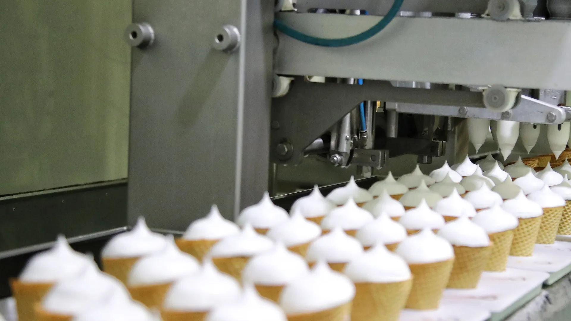 Фото: пресс-служба губернатор Московской области