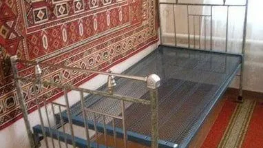 Ученые-орнитологи ищут спинки от старых кроватей, чтобы помочь аистам в Дмитрове