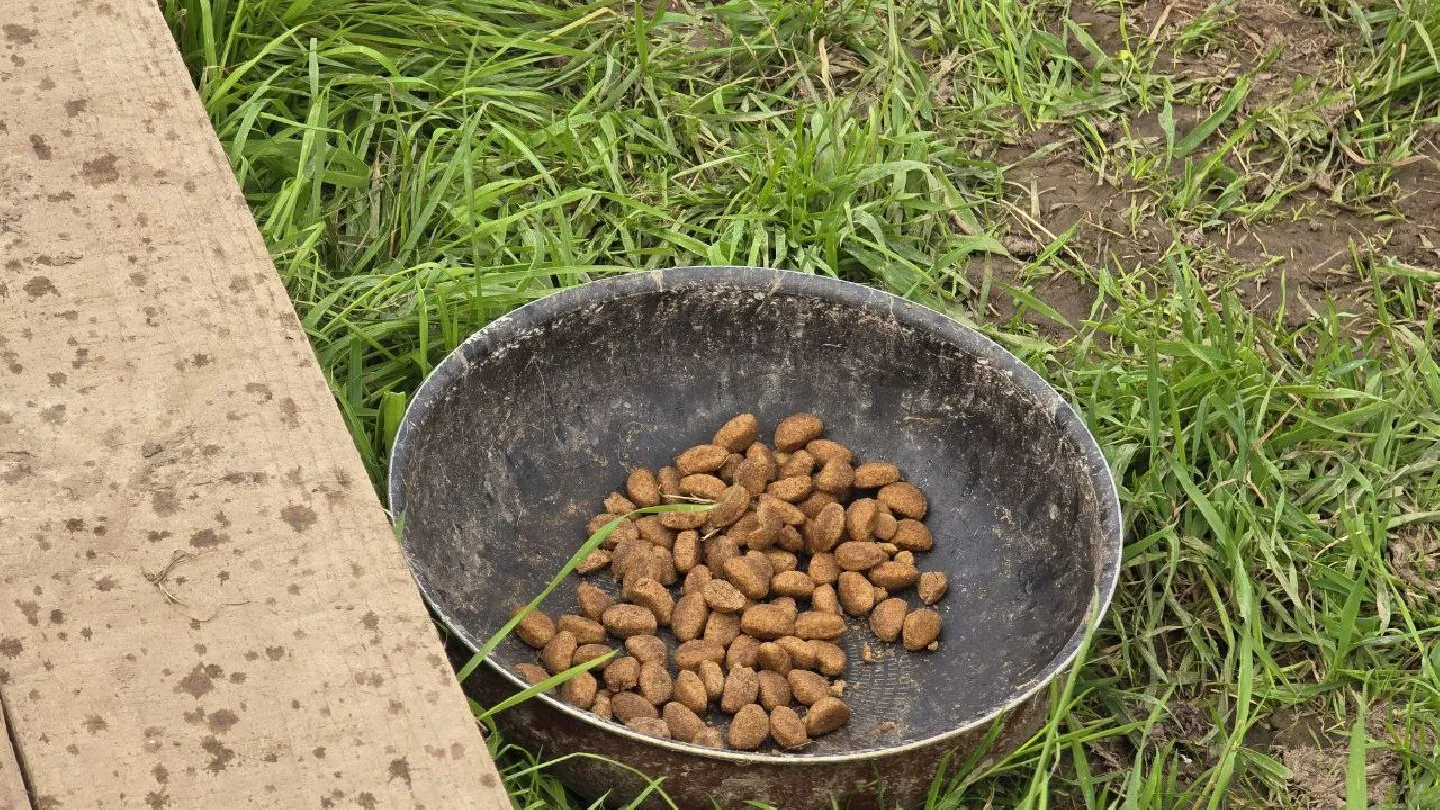 Фото: МедиаБанк Подмосковья/Яна Шаливская