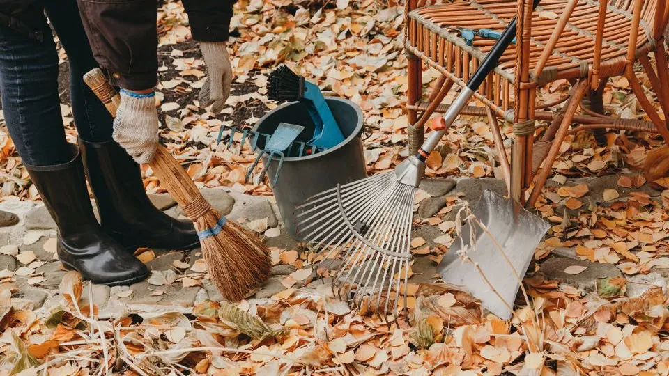 Фото: istockphoto.com/glebchik