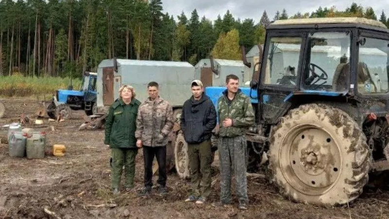 В Чепелевском участковом лесничестве проводят санитарную рубку