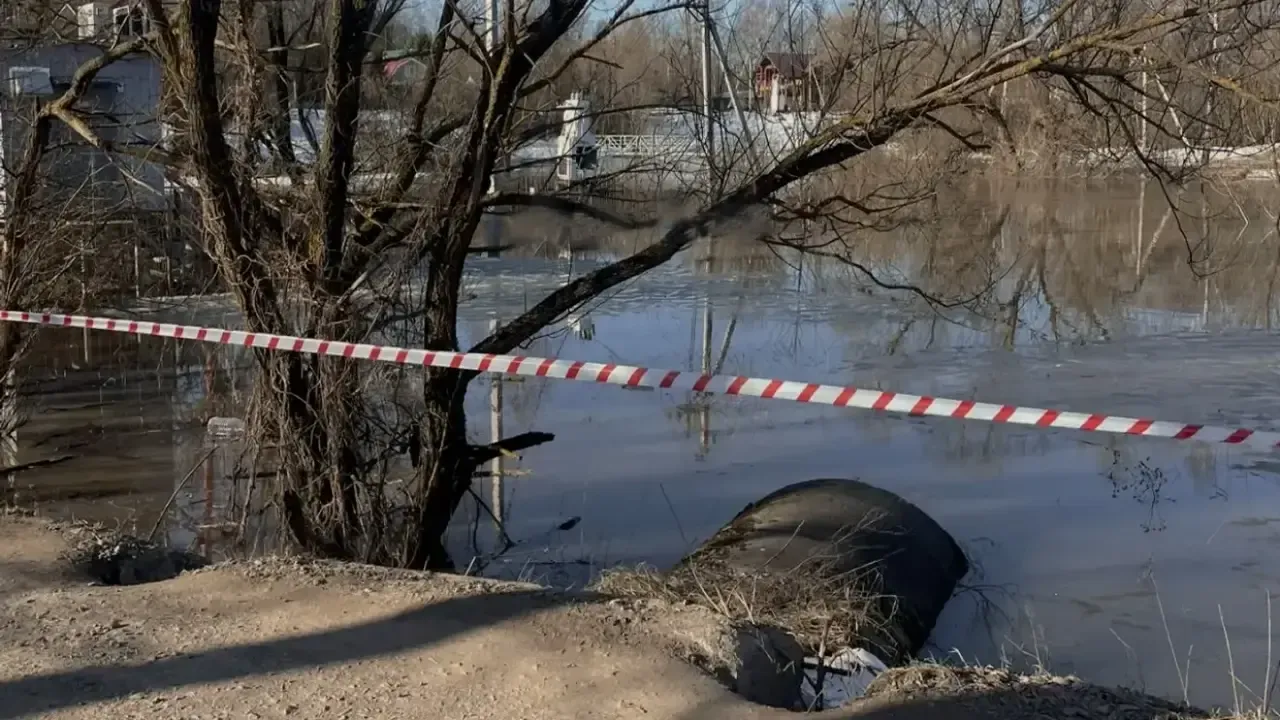 Центр гражданской защиты г.о. Щелково