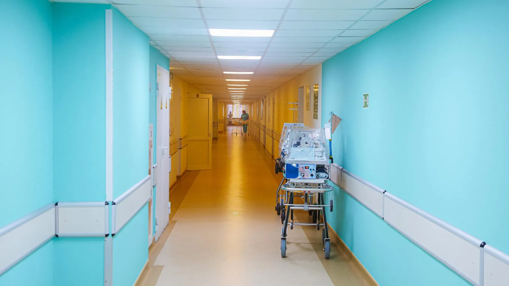 Фото: пресс-служба администрации Одинцовского г.о.