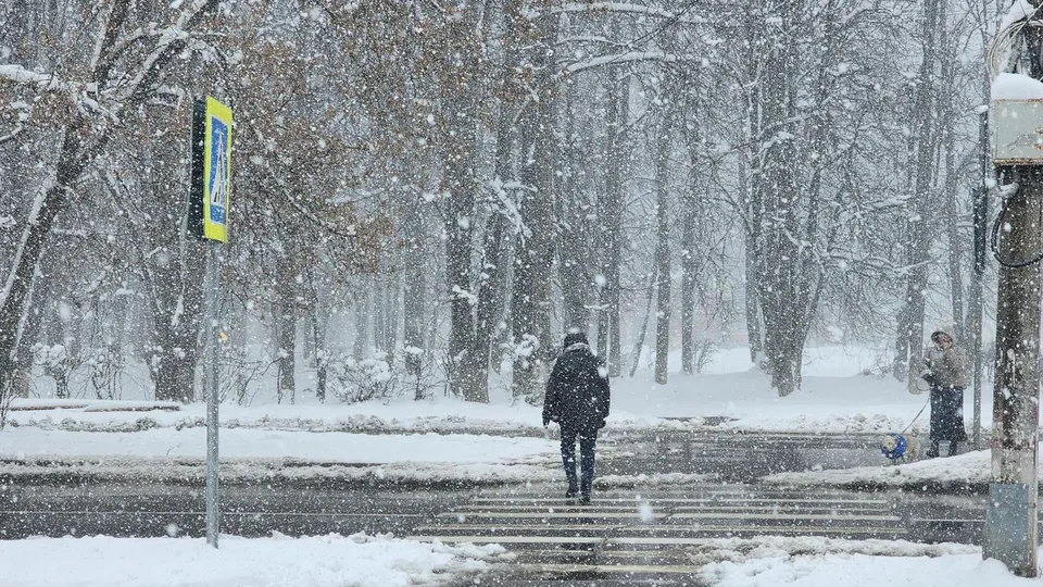 Фото: Роман Савельев