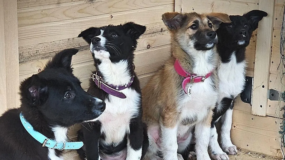 Фото: Подслушано на Глебовке (новая) / ВКонтакте