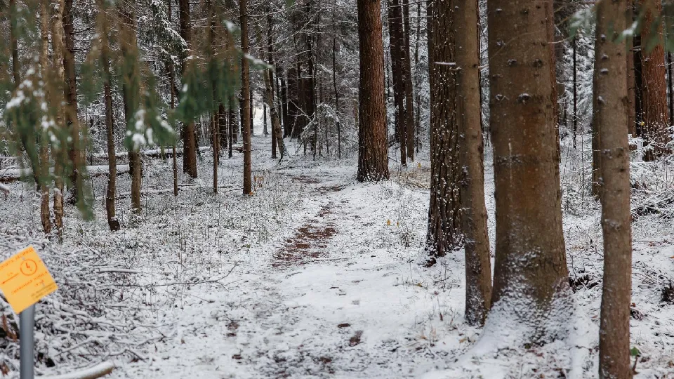 Фото: пресс-служба Администрации г.о. Дубна