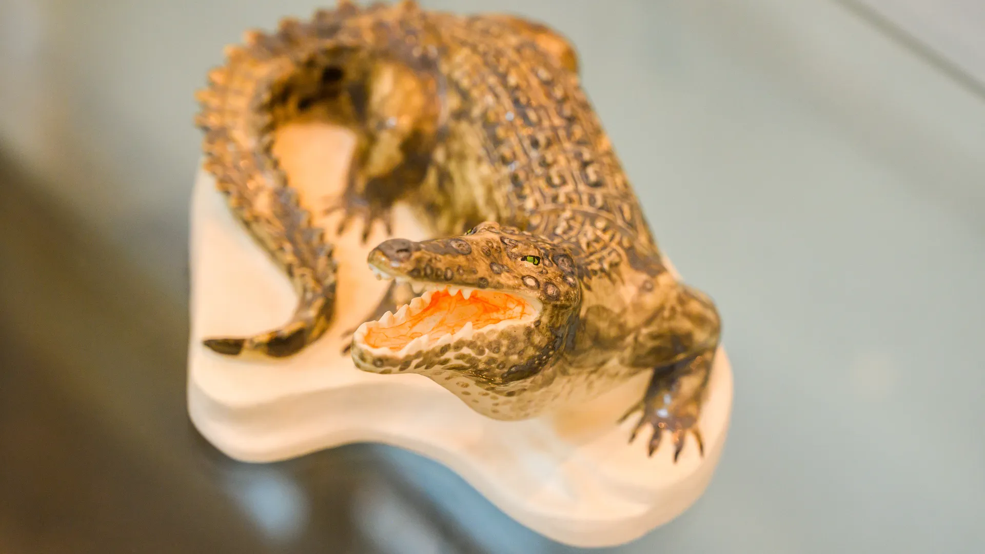 «Угроза из террариума»: израильские власти уничтожили сотни крокодилов, опасаясь теракта