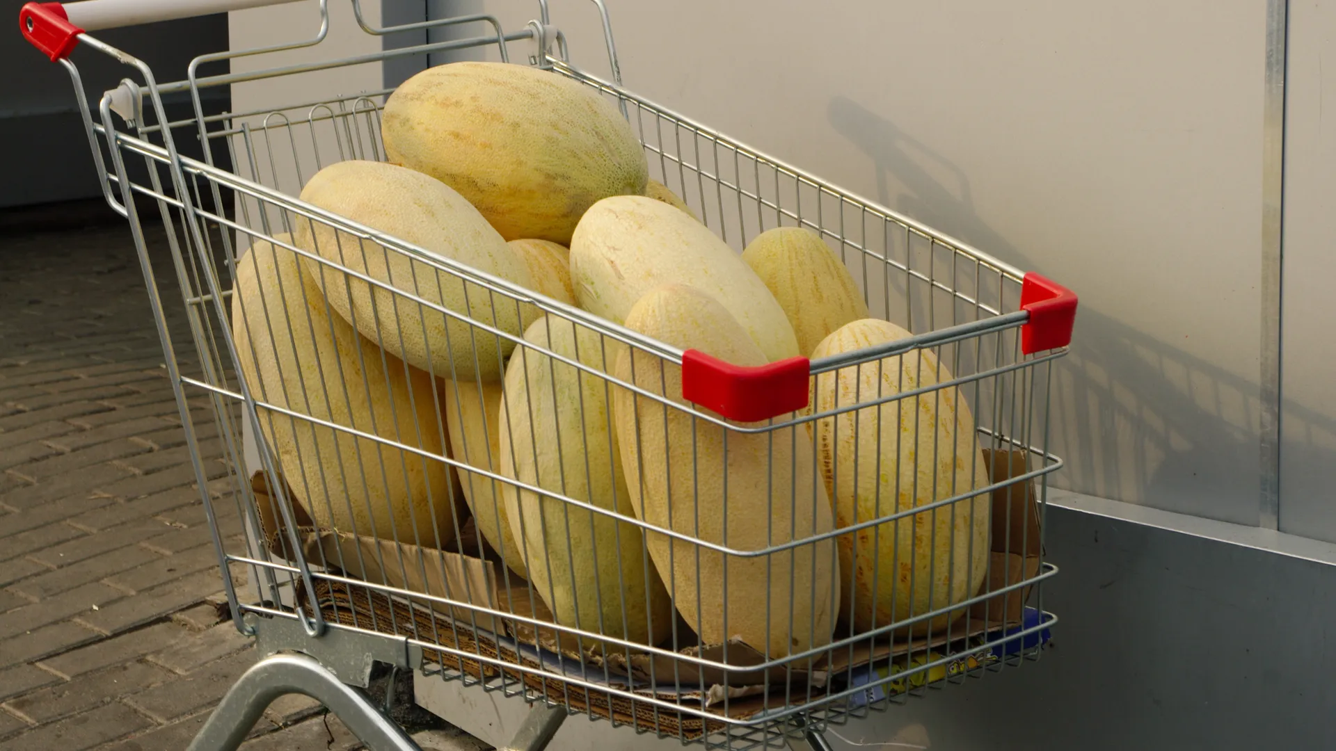 Дыни в тележке