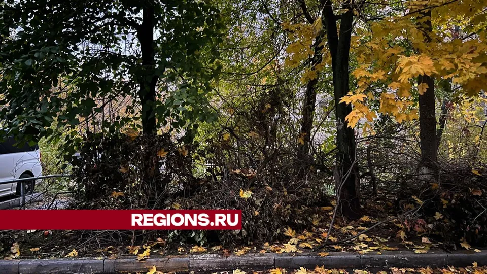 Фото: Анастасия Калинина