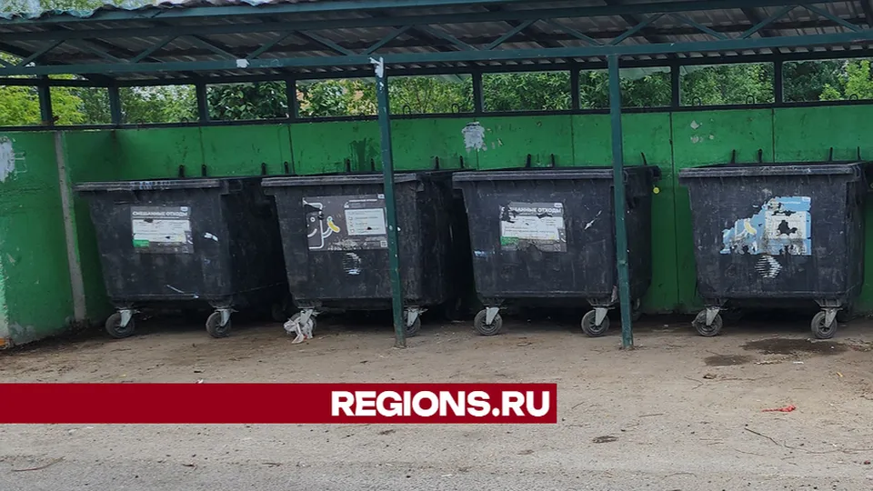 Фото: REGIONS/Наталия Надточая