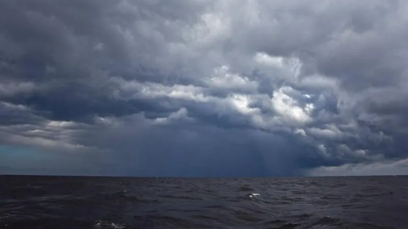 Жителей Ленобласти предупредили о приближающемся шторме