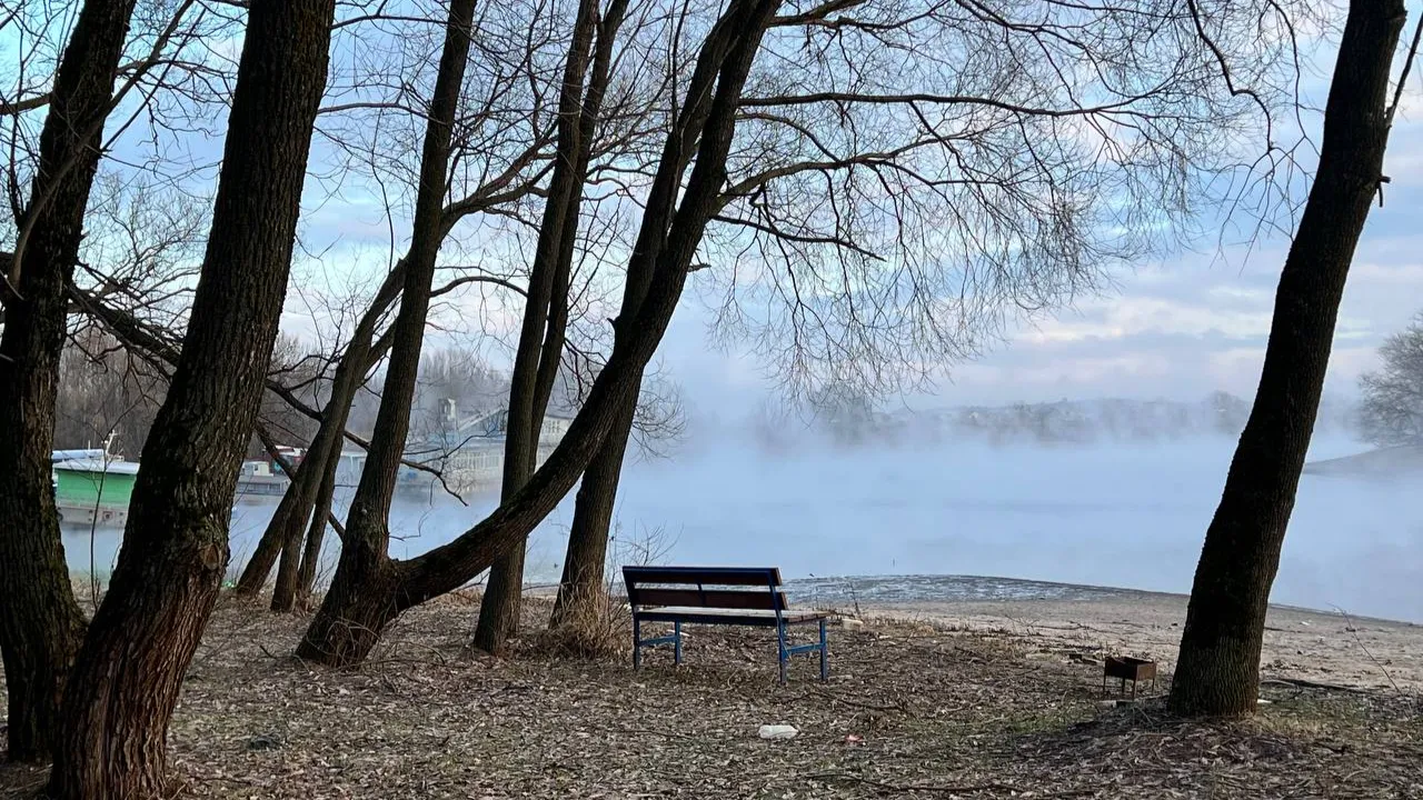 REGIONS/Елена Фурман