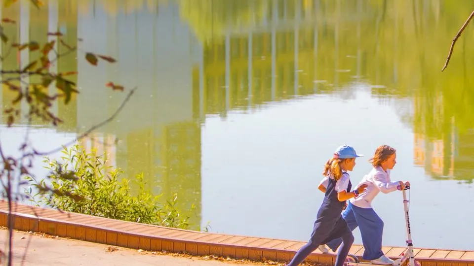 Фото: Министерство благоустройства Московской области