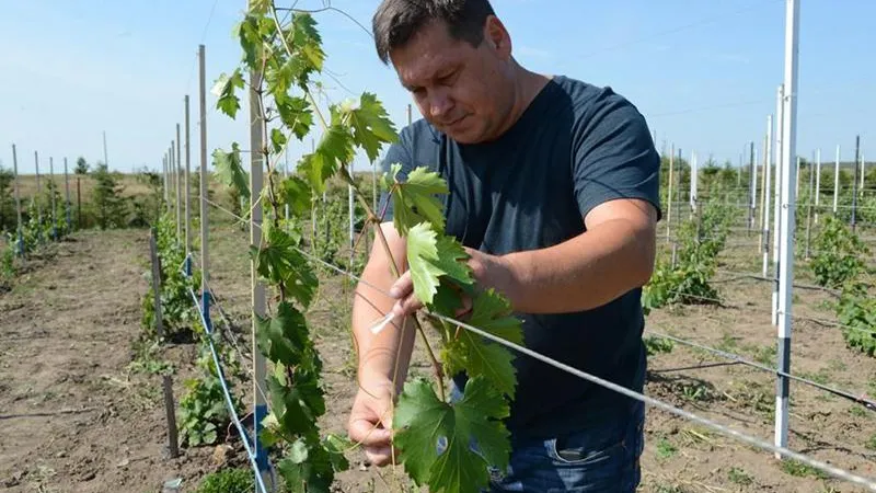 Из архива Степана Тимакова