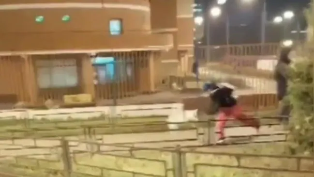 Девочка швыряет пса. Скриншот из видео в ТГ-канале «Подслушано Видное (18+)»/https://t.me/Podslushano_Vidnoe/12853