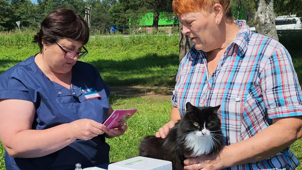 Фото: REGIONS/Роман Кутузов