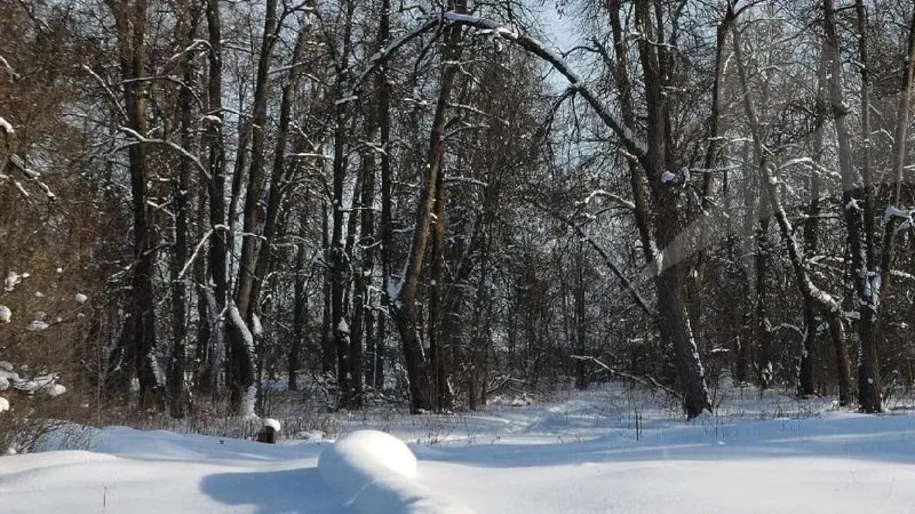 медиасток.рф