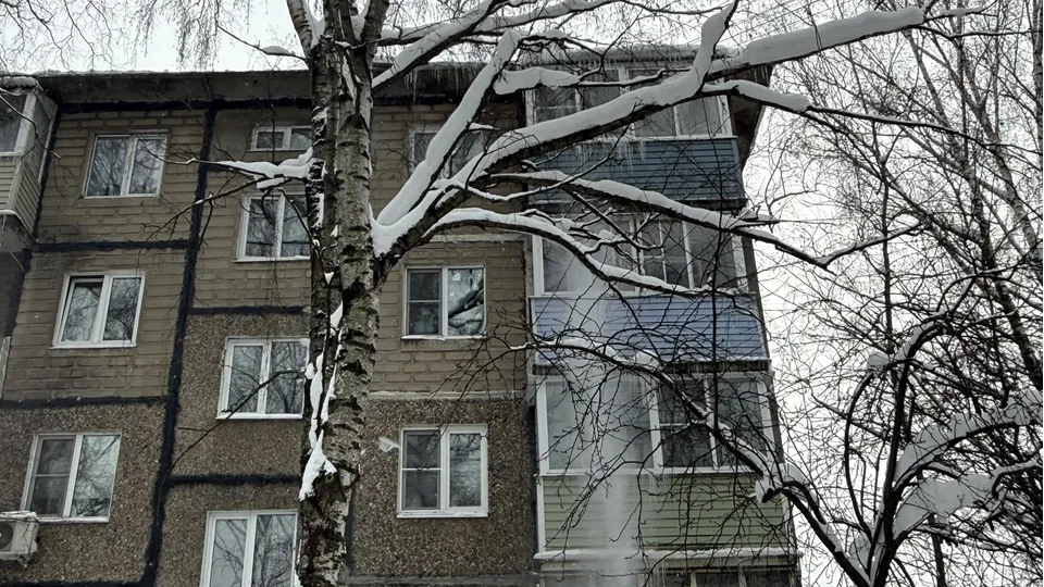 Фото: МедиаБанк Подмосковья/Анна Дука