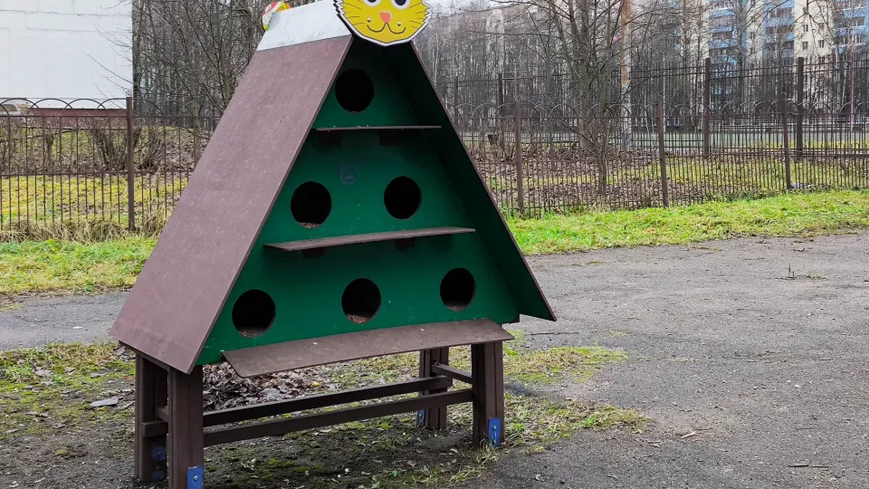 Фото: пресс-служба администрации г.о. Краснознаменск