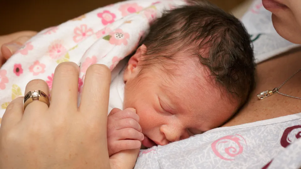 Фото: istockphoto.com/CaseyHillPhoto