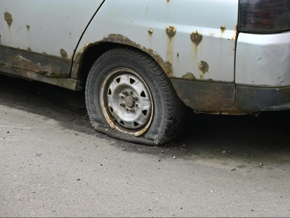 Фото: пресс-служба администрации Ленинского г.о.