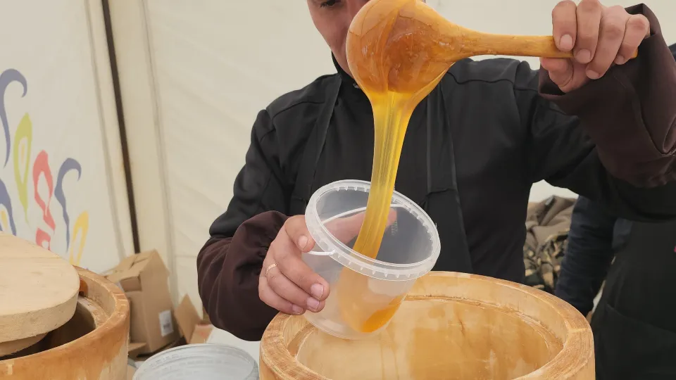 Фото: Медиабанк Подмосковья/Александр Степушкин