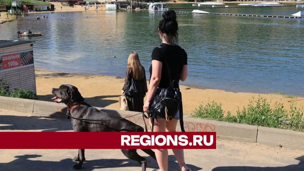 Фото: Алексей Грызлов