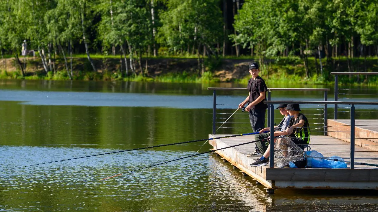 медиасток.рф