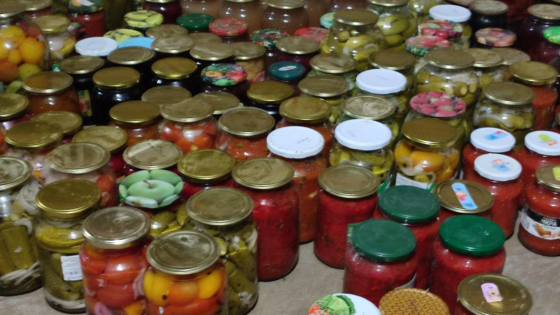 Анастасия Калмыкова