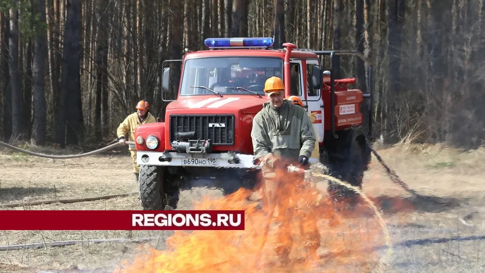Фото: REGIONS/Александр Дрожжин