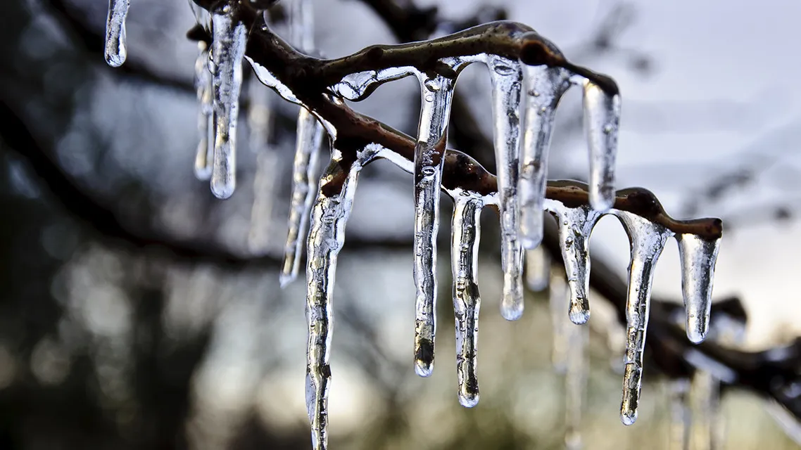 фото:.freepik.com