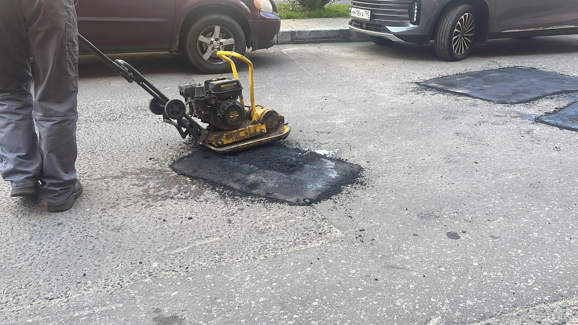 Фото: Елизавета Приймак