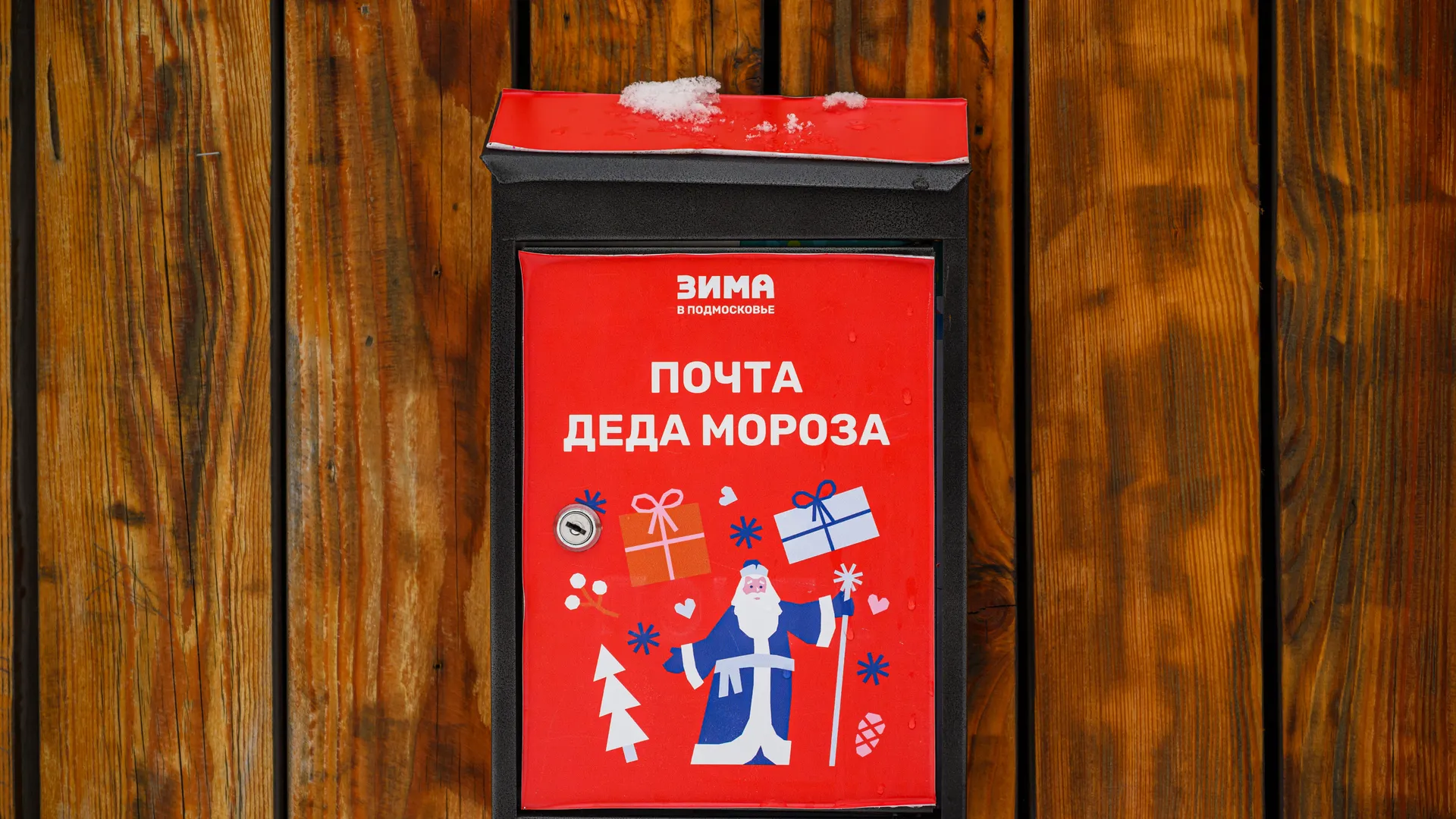 Зимний Пестовский парк в Балашихе