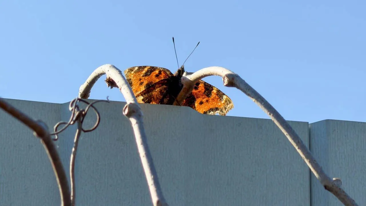 REGIONS/Илья Попов