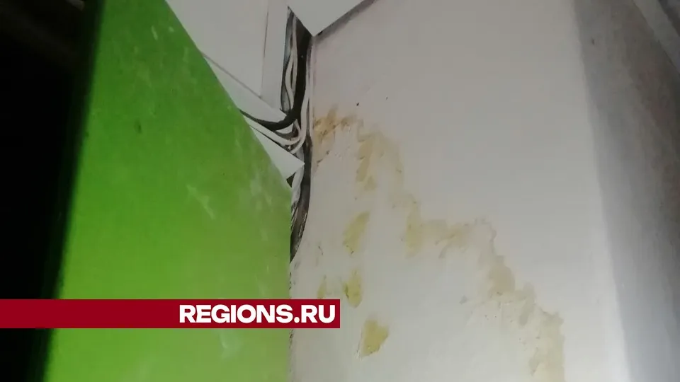 Фото представлено жителями Жуковского