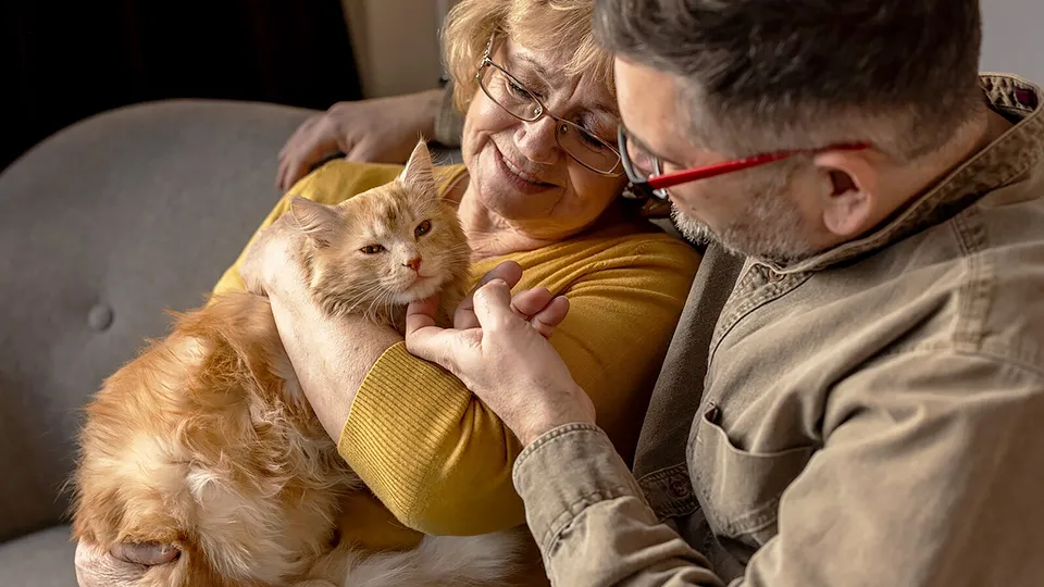 Фото: freepik.com