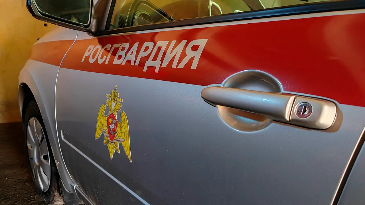 REGIONS/Евгений Мазепов