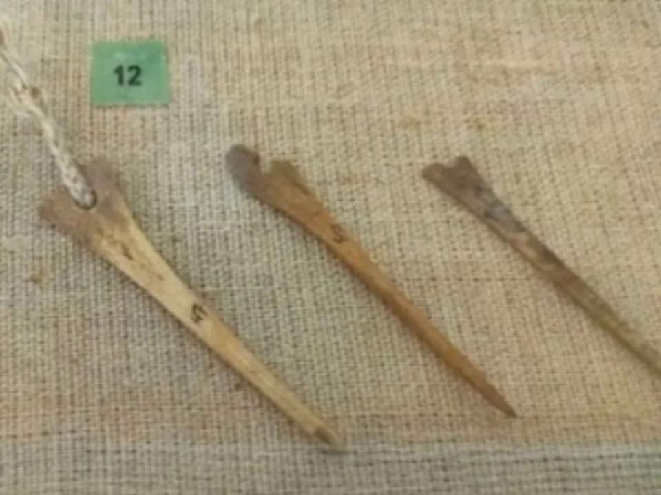 Фото: Коломенский краеведческий музей