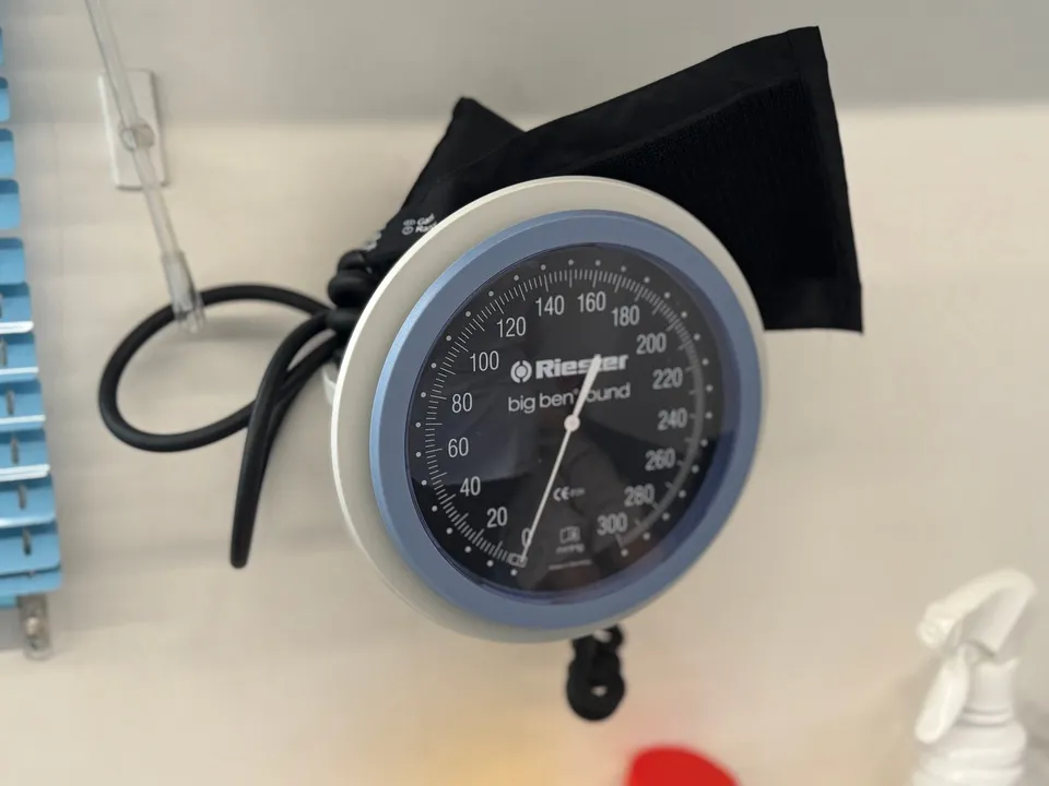 Фото: Медиабанк Подмосковья/Виктория Фортуна&nbsp;