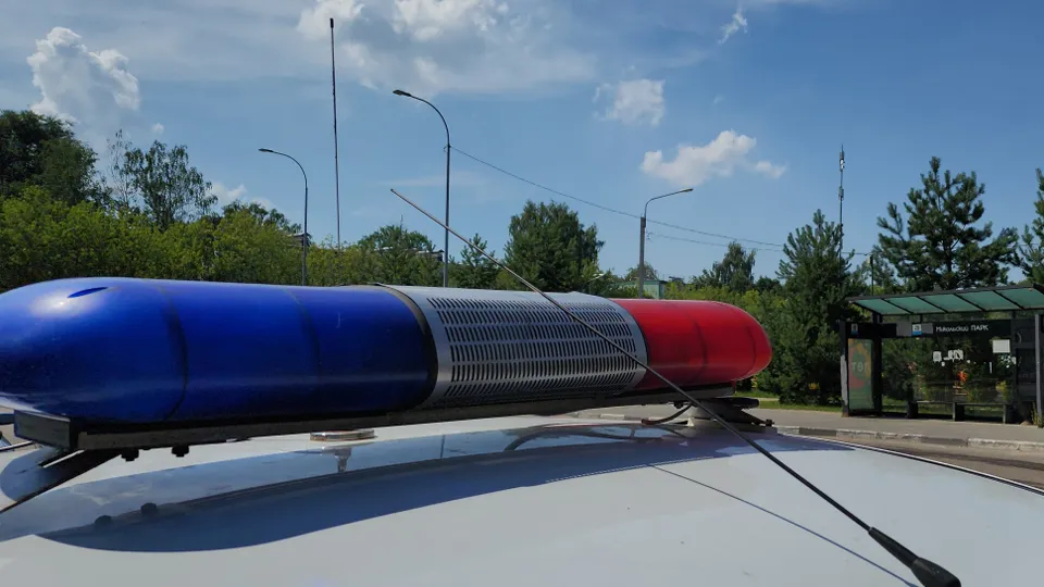 Фото: Валерия Тингаева