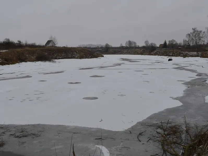 Фото:&nbsp;Министерство экологии и природопользования Московской области
