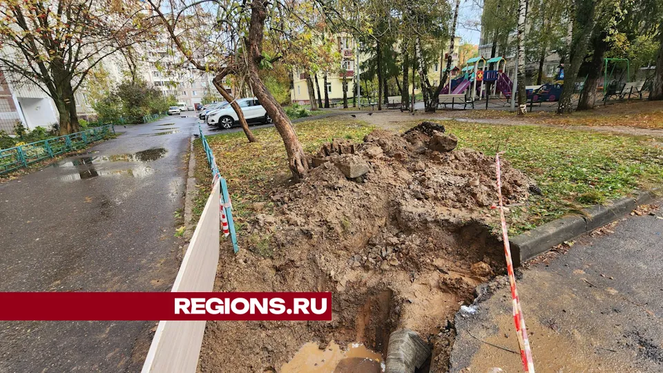 Фото: Дмитрий Алексеенко