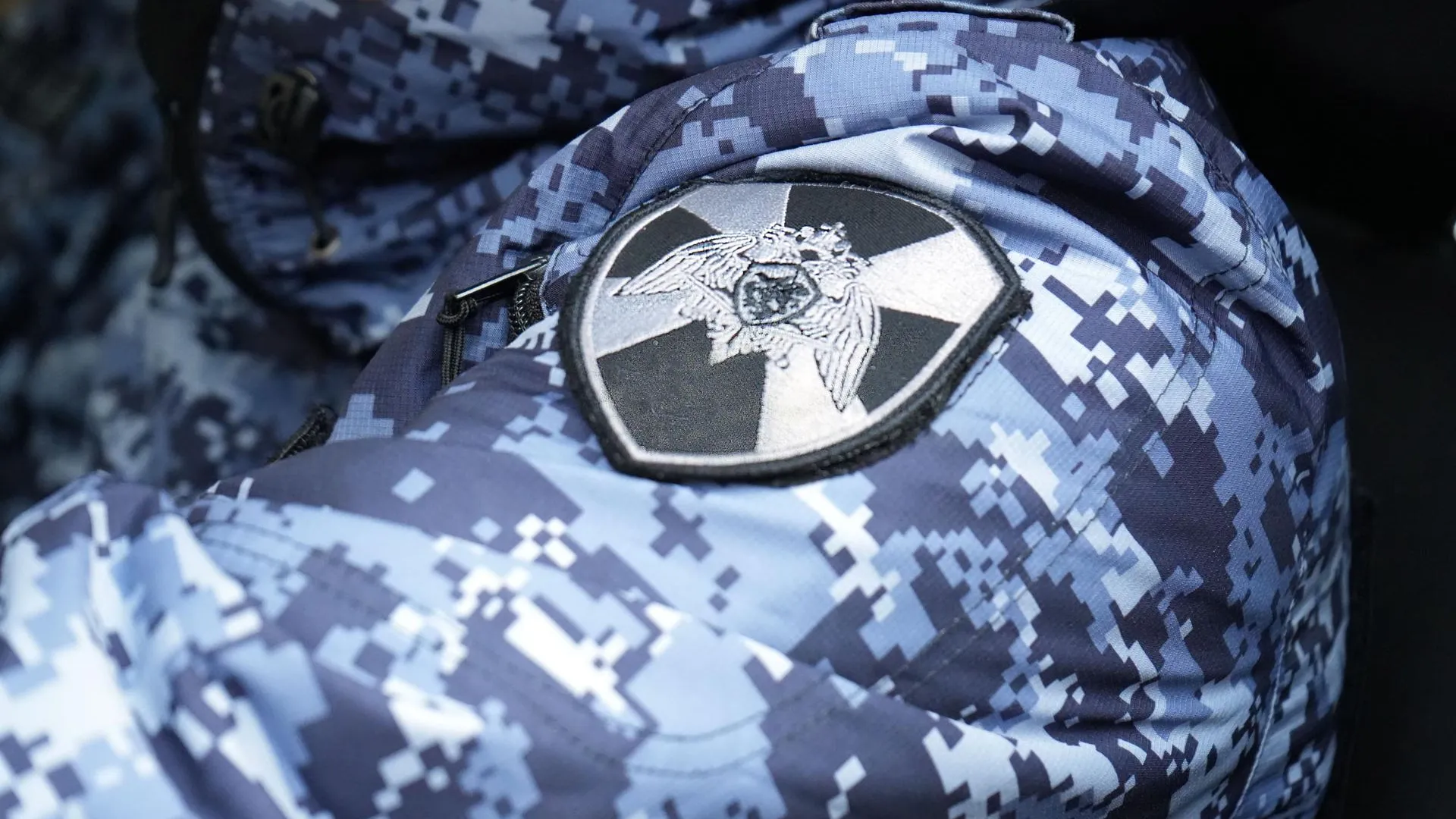 Фото: ГУ Росгвардии по МО