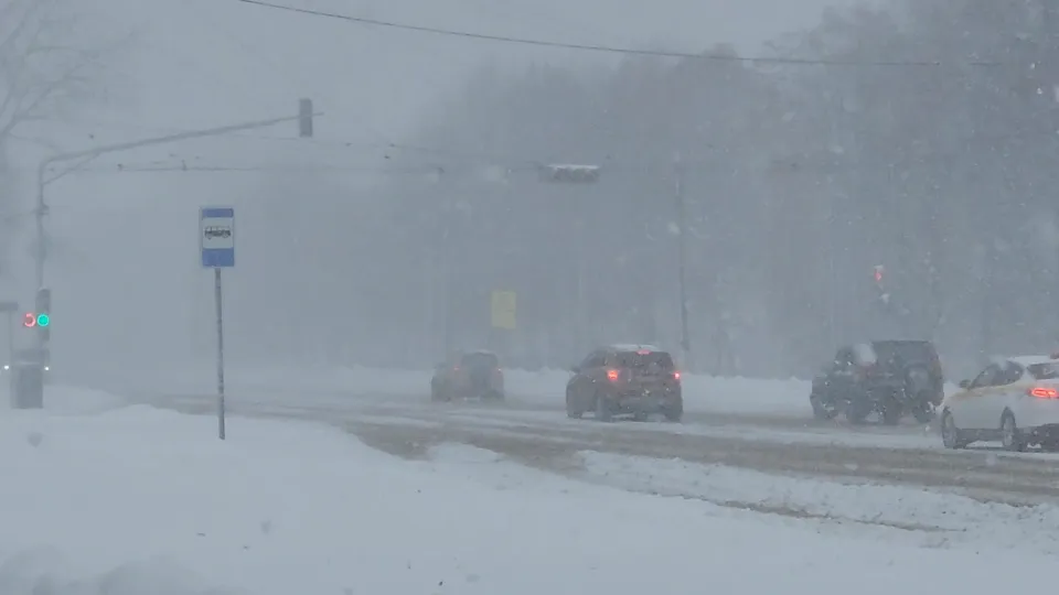 Фото: МедиаБанк Подмосковья/Мария Анисимова