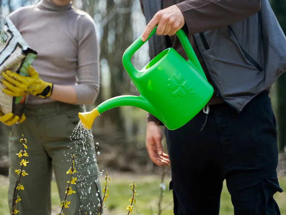 Фото: freepik.com