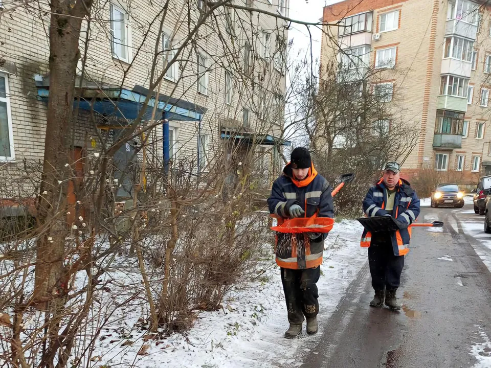 Фото: МедиаБанк Подмосковья/Екатерина Мелкозерова