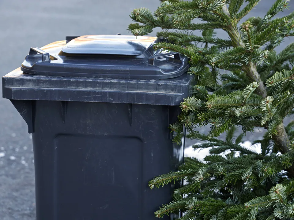 Фото: istockphoto.com/artiemedvedev&nbsp;