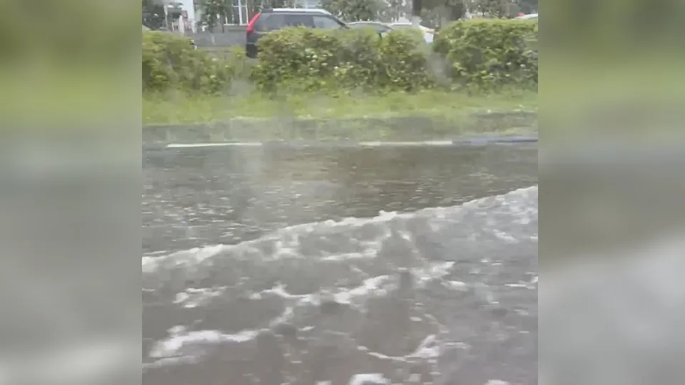 Фото: t.me/dmitrov_detka