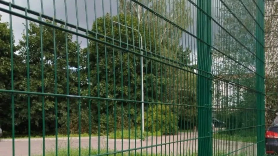 Фото: пресс-служба администрации г.о. Черноголовка