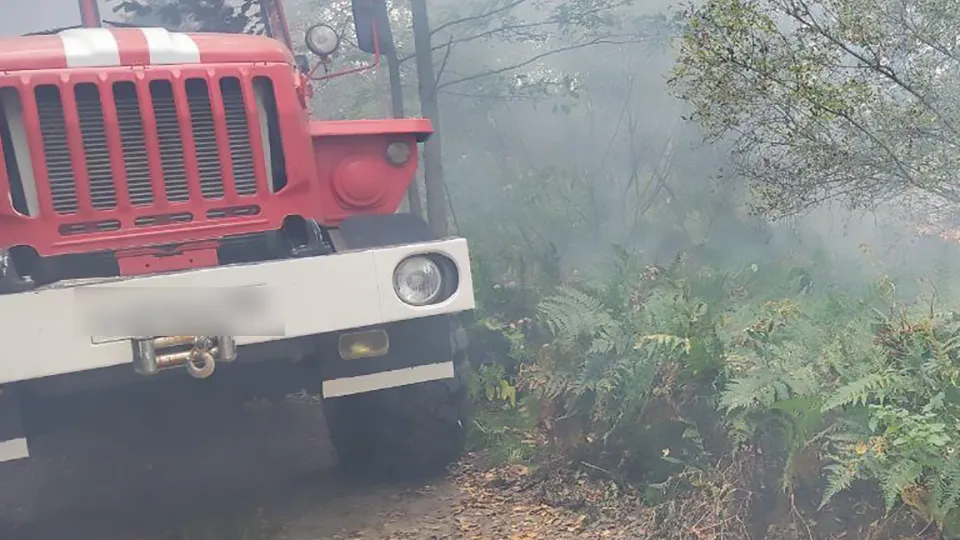 Комитет лесного хозяйства Московской области